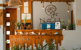 Dhiffushi Inn